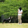 カピリナ｜日本｜Ka_Pilina Dog Care School